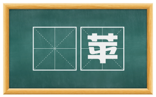 緑苹