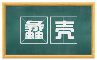 蠡壳
