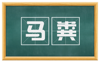 马粪