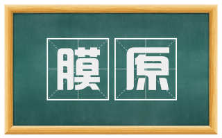 膜原
