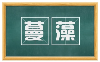 蔓藻