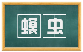 螟虫