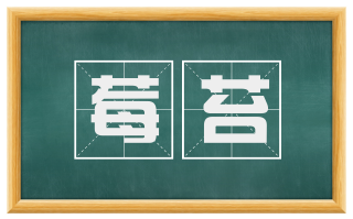 莓苔