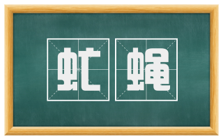 虻蝇