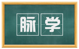 脉学