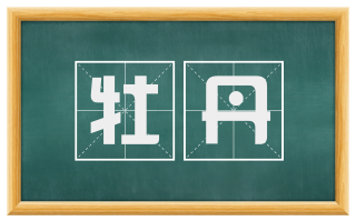 牡丹