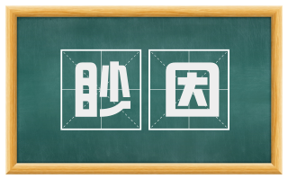 眇因