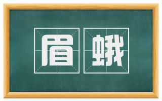 眉蛾