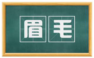 眉毛