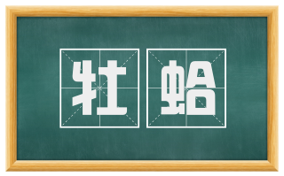 牡蛤