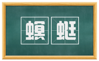螟蜓