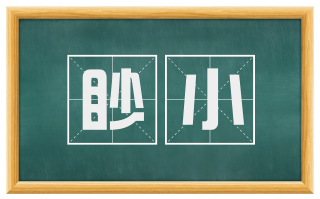 眇小