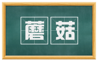 蘑菇