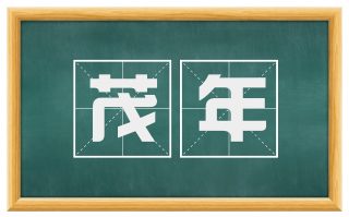 茂年
