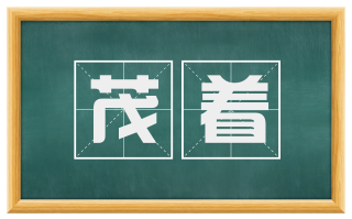 茂着
