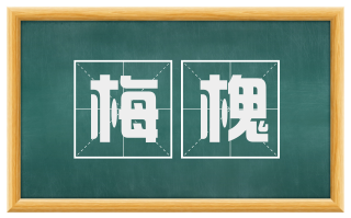 梅槐