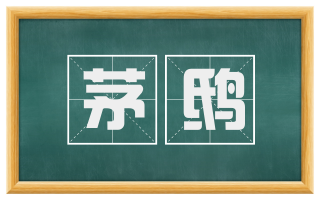 茅鸱