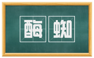 酶蜘
