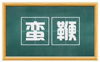 蛮鞭