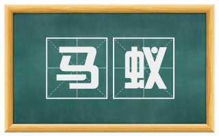 马蚁