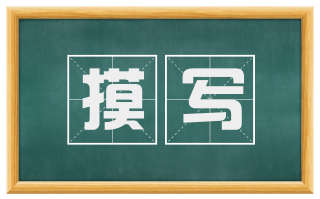 摸写