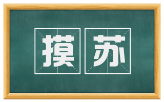 摸苏
