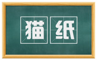 猫纸