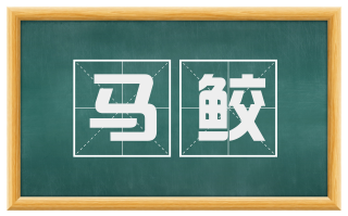 马鲛