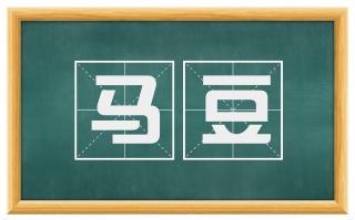 马豆