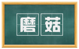 磨菇