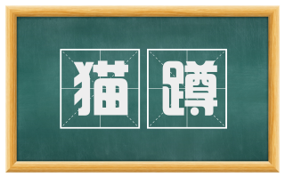 猫蹲