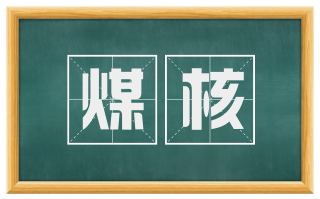 煤核