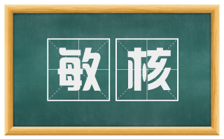 敏核