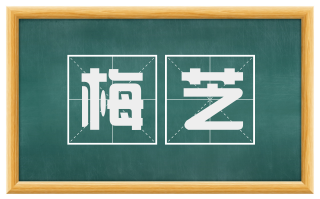 梅芝