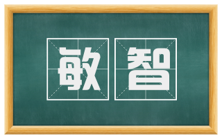 敏智