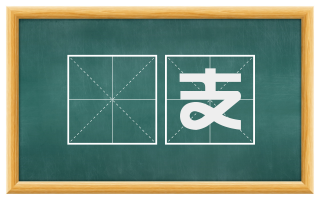 撚支