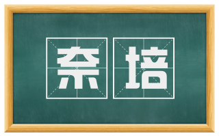 奈培