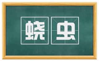 蛲虫