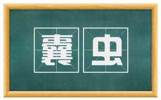 囊虫