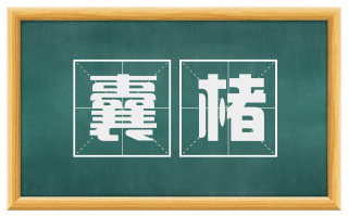 囊楮