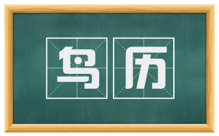 鸟历