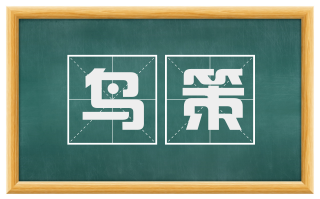 鸟策