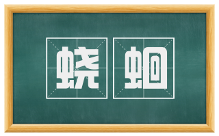 蛲蛔