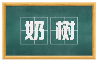 奶树