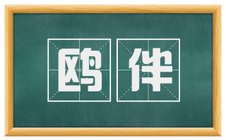 鸥伴