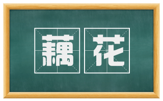 藕花