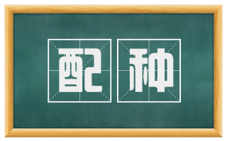 配种