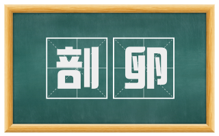剖卵