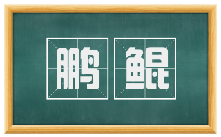 鹏鲲