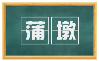 蒲墩